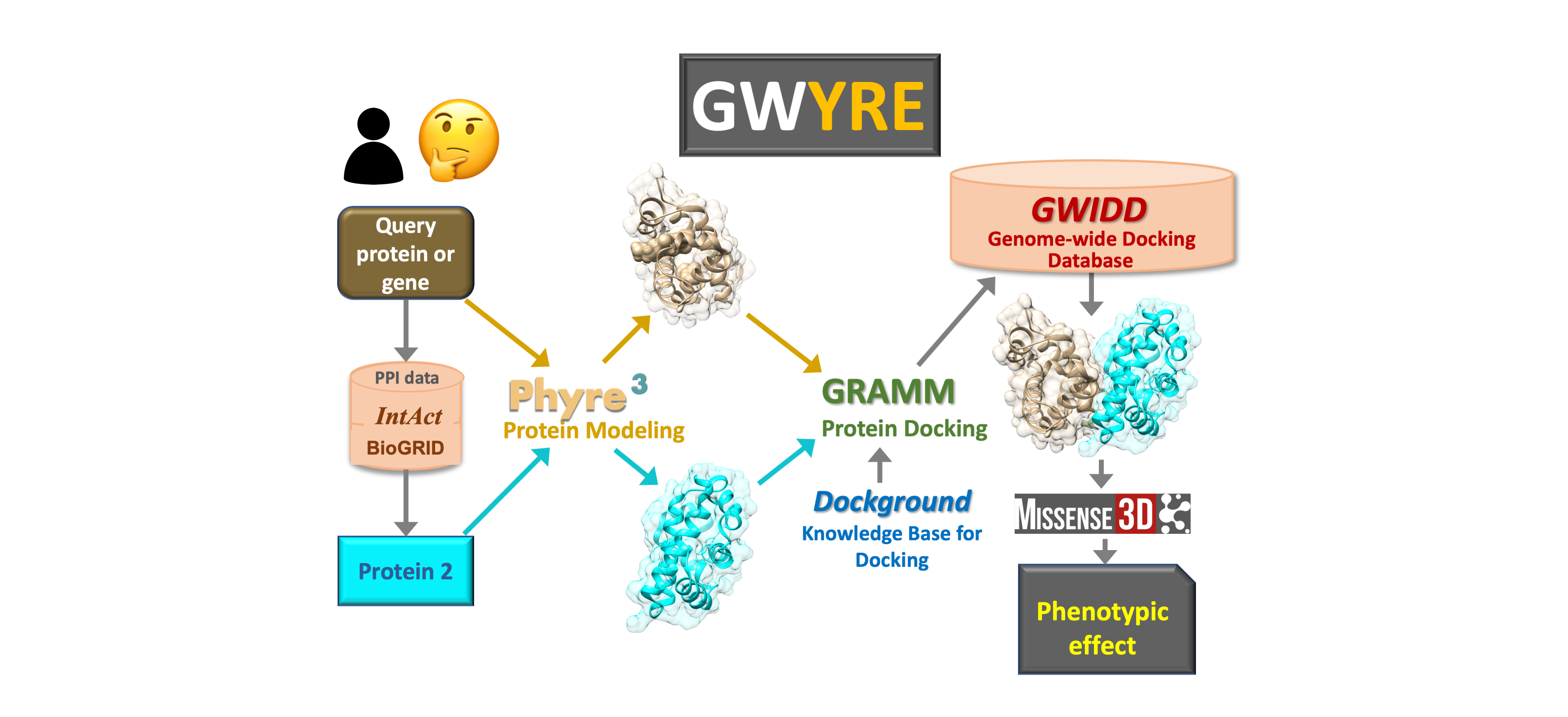 Gwyre process flowchat