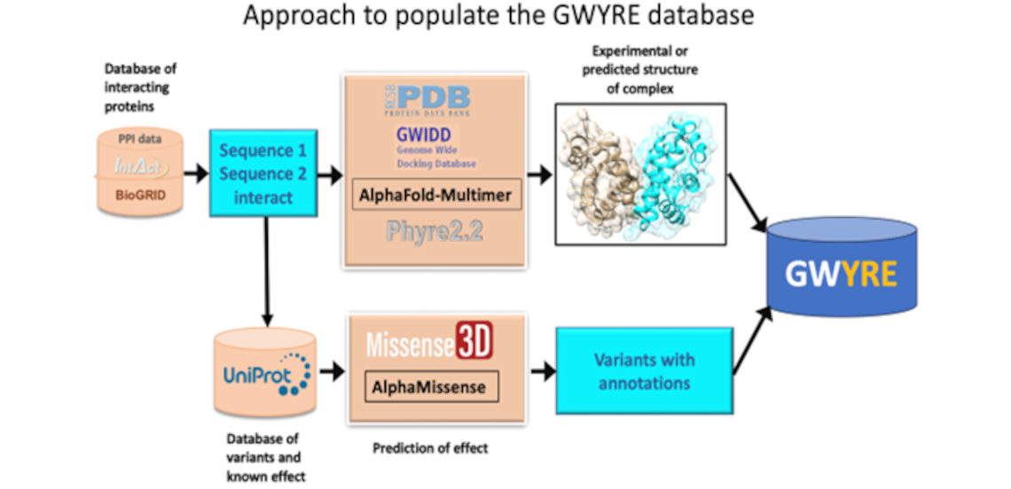 Gwyre process flowchart